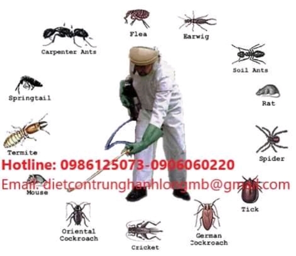 Diệt ruồi, muỗi, kiến, gián